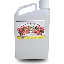 Amazon.co.jp: ［京華クラフト］プリザーブドフラワー加工液