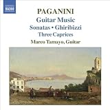 Guitar Music