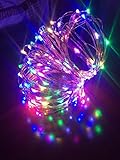 FiYi 多彩カラー イルミネーション 屋外 LED ライト 飾り 点灯8パターン.コントローラ付(10M(100LED),銅線ワイヤー)