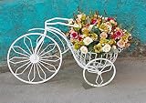 YI LU Deng JU- ヨーロッパの創造的な自転車の鉄の花のスタンド居間の屋内の床吊り青い緑の花の花の棚