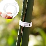 (ステキ　ライフ）Suteki Life ガーデニング　つる性 植物用　クリップ　ガーデ 用品 50個入り