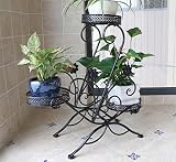 フラワーラック錬鉄製の花の棚多層フロアの花の棚バルコニーの工場屋内ヨーロッパの緑の水仙の花の鉢の棚 (色 : 黒)
