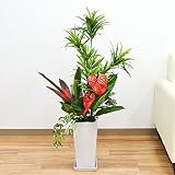 人工観葉植物 寄せ植え(ドラセナ・ソングオブジャマイカ) 陶器鉢