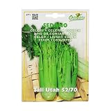 野菜の種 セルリー・トールユタ