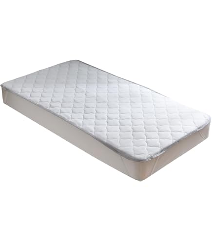 Amazon.co.jp: AZUMAYA 涼感寝具 そよそよ Sサイズ W94×D198×H4.4cm A