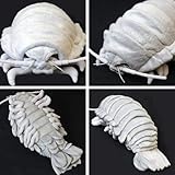 ティーエスティーアドバンス(TST ADVANCE) 深海生物シリーズダイオウグソクムシ ぬいぐるみL グレー 7412