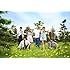 AAA「旅ダチノウタ(CD+DVD)」