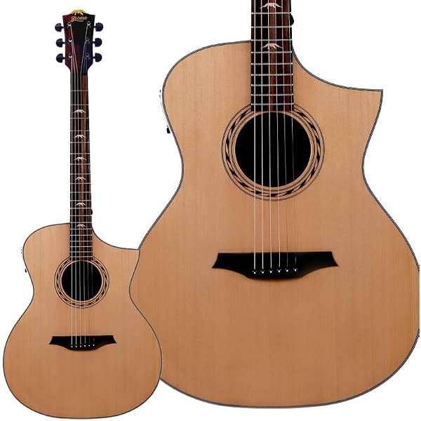 Amazon.co.jp: Bromo Guitars ブロモギターズ BAT2M TAHOMA SERIES