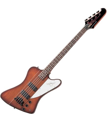 Amazon | Epiphone Goth Thunderbird-IV Pitch Black サンダーバード