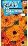 タキイ種苗 金盞花やしま芯黒
