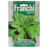 野菜の種 マーシュ D'OLANDA A SEME GROSSO 140/3