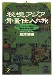 秘境アジア骨董仕入れ旅――お宝ハンター命がけの「黄金郷」冒険記