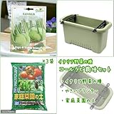 イタリア野菜の種 コールラビ・ビアンコを育てよう たのしい栽培セット 家庭菜園