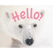 2025サマーセールしろくま 51Rh8t7WLtL._AC_UL210_SR210,