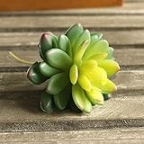 Kicode （緑） 人工多肉植物Unpotted かわいいグリーンホームガーデン