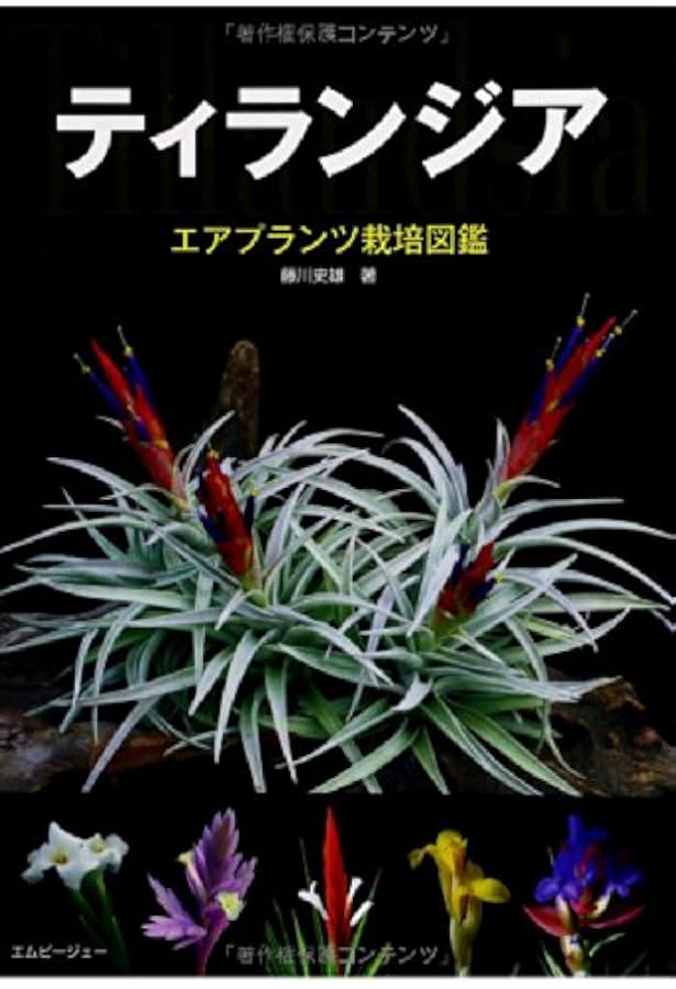 エアプランツLife | スゥルギ, 齊藤 太一, 藤川 史雄 |本 | 通販 | Amazon