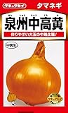 タキイ種苗たまねぎ 泉州中高黄