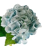 【Blooming＆me】 フラワーデザイナー推薦 高品質 上質な造花 梅雨の時期におすすめ 高級感のある オリジナル アジサイ 紫陽花 インテリア ギフト (選べる5色) (ブルー) [並行輸入品]