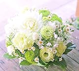 アレンジメントフラワー 生花 ギフト LLサイズ イメージ(清楚)大臣賞受賞デザイナー おまかせアレンジメント