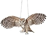 アウトドアSwinging Owl in flight