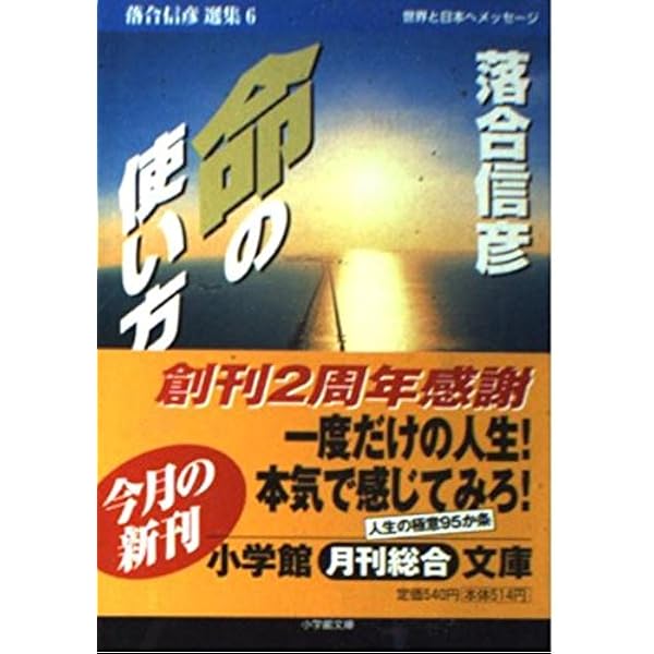 【本日限定価格】あめりか冒険留学 落合信彦 VICTORY BOOKS あめりか冒険留学 スーパージャップの空手・麻薬・乱交・学園(落合信彦