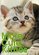 More Cute Kitties―幸せな子猫たち (Postcard Book)