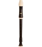 Amazon | トヤマ楽器 AULOS(アウロス)シンフォニー ソプラノリコーダー