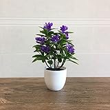 suyunyuan花人工ツリーミニチュア植物Fairy Garden Gnome苔テラリウム装飾 One Size パープル ASDFG565416406187