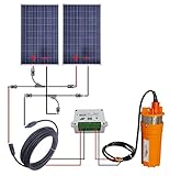 ECO-worthy 2個 100 W ソーラーパネル 24V 潜水井ポンプ& 取付キット L07P100-SPCMW-2