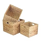 正方形水ヒヤシンスのセット3ストレージセット