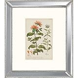 Paragon Monarda Framed壁アート 3"D x 29"W x 33"H ベージュ 1475