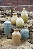 ホームデコレーションの改善3762から6ミニ花瓶 - 6本セット