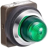 IDEC φ30 シリーズ パイロットライト LED照光 丸形 AC/DC24V APN122DNG