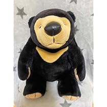 Amazon.co.jp: モンスイユ マレーちゃん M サイズ くま