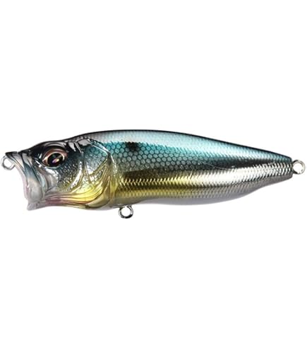メガバス ito ポップマックス ポップMAX Mハス 新品未開封 楽天市場】メガバス Megabass ポップマックス POP MAX : Japan Bass Tackle