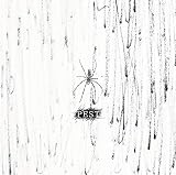 PEST【A:初回限定盤】