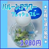 京都 木村花店　バルーンフラワー　フレッシュブルー