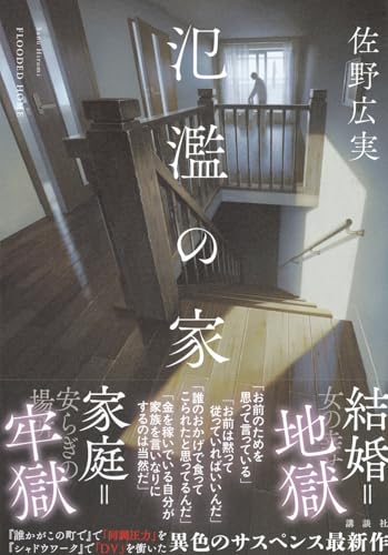 佐野広実:氾濫の家