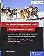Sap Performance Optimization Guide: Analyzing and Tuning Sap Systems