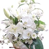 *悲しみの白い花 アレンジ 蘭 お彼岸の花 お盆の花 一周忌 三回忌の花 弔事 四十九日 一周忌 法事 法要 仏事の花 (法事)