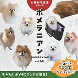 ポメラニアン（Pomeranian）vol.001 (犬種別写真集シリーズ)