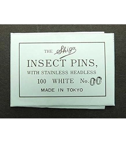 Amazon.co.jp: インセクテック 志賀ボール紙製硝子蓋標本箱【特々小型