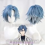 魔法使いの約束 まほやく 南の国 フィガロ・ガルシア コスプレウィッグ 風