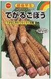 アタリヤ農園 ガーデニング用品 種 てがるごぼう