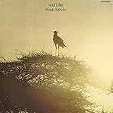 �l�C�`���[