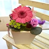 プリザーブドフラワー ギフト　ガーベラポット　[CANDY] (ピンク)