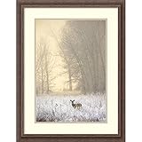 Framed Art Print, White-tailed Deer in Fog' by Jason Savage: Outer Size 50cm x 70cm