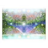 (ヒーリングアート TSUKASA) 開運グッズ 風水アイテム ＣＧアート (波動の空間, A4判)