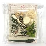 【NICHIFLRO】 ニチフロ ハンドメイド材料 　クリスマス 花資材 小分け ハーバリウム アロマワックスサシェ レジン ネイル プリザーブドフラワー ドライフラワー クラフト 花材セット (シーズンクリスマスホワイト)