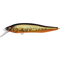 メガバス　ルアー Amazon.co.jp: メガバス(Megabass) ルアー X70 SP 05GG メガバス
